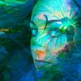 Bild: Alfred Schiener Bild: Alfred Schiener
